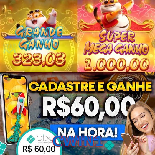 CWIN1