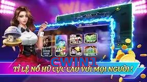 CWIN1