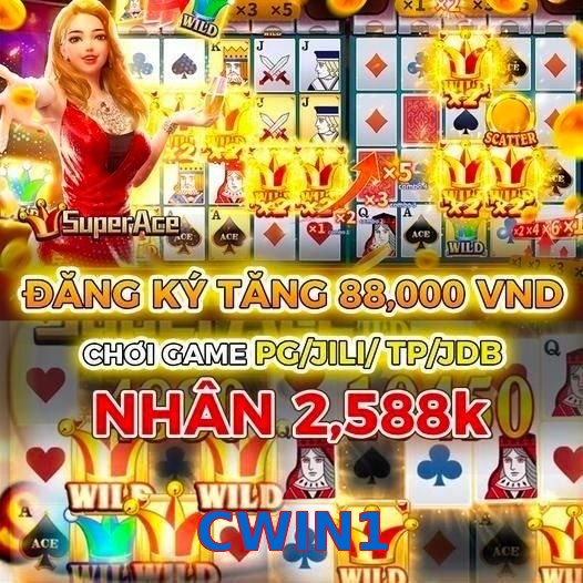 CWIN1
